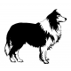KOIRA
