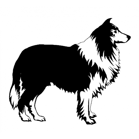 KOIRA