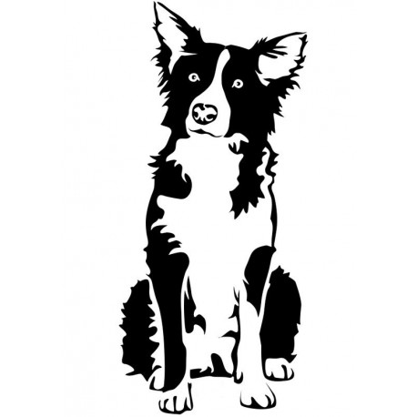 KOIRA