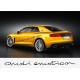 AUDI EMOTION