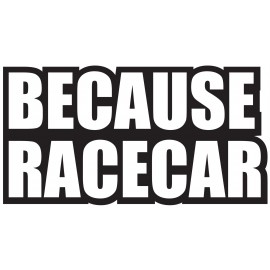BECAUSE RACECAR