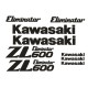 KAWASAKI ZX-10r