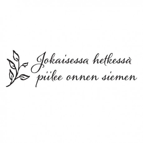 RAKKAUTTA EI VOI TUNTEA,SE TÄYTYY HYVÄKSYÄ