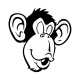 Auton tarroja