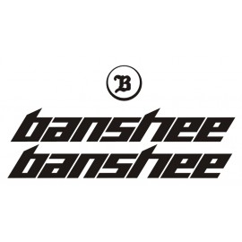 BANSHEE