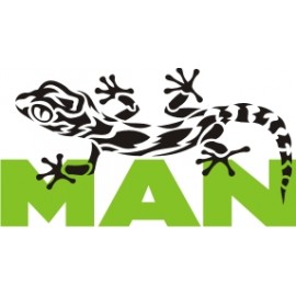 MAN IKKUNATARRAT
