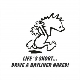 BAYLINER