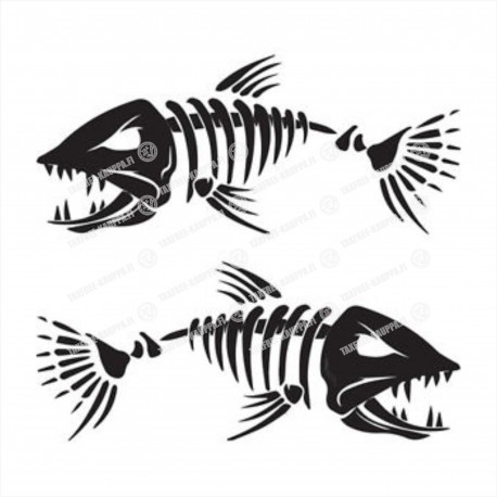BONEFISH