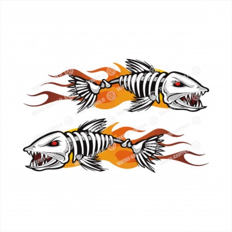 BONEFISH