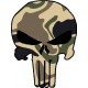 PUNISHER