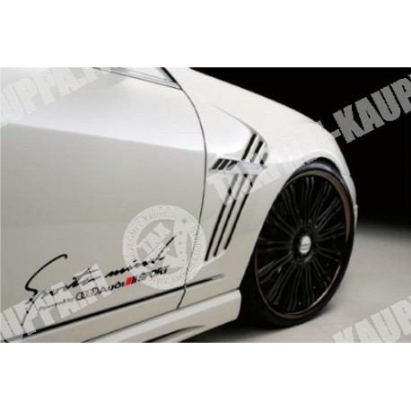  AUDI SPORTS MIND