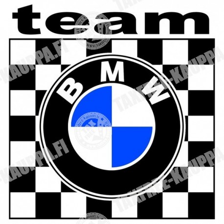 TEAM BMW