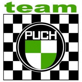 TEAM PUCH