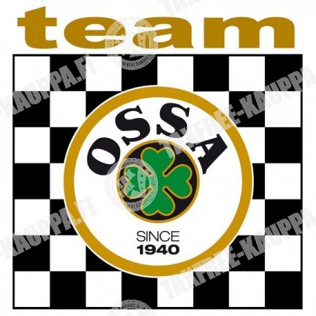 TEAM OSSA