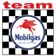 TEAM MOBILGAS