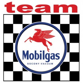 TEAM MOBILGAS