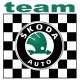 TEAM SKODA