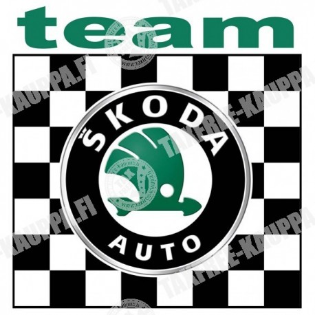 TEAM SKODA