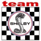 TEAM SHELBY
