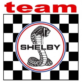 TEAM SHELBY