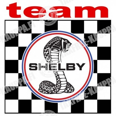 TEAM SHELBY