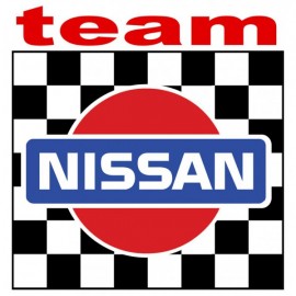 TEAM NISSAN