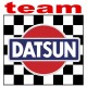 TEAM DATSUN
