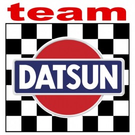 TEAM DATSUN