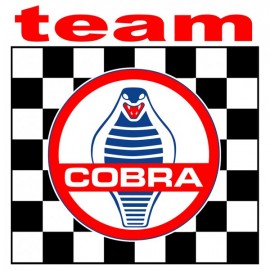 TEAM COBRA