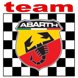 TEAM ABARTH