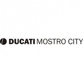 DUCATI 999