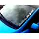  JAGUAR TARRA/BECAUSE JAGUAR