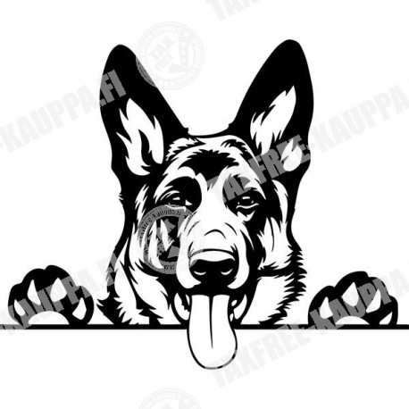 KOIRA