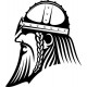 VIKING