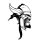 VIKING