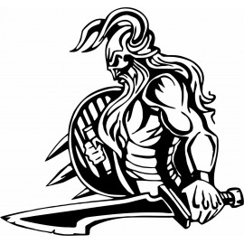 VIKING