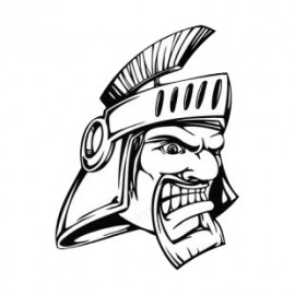 VIKING