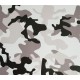 Wintercamo