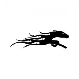 TRIBAL