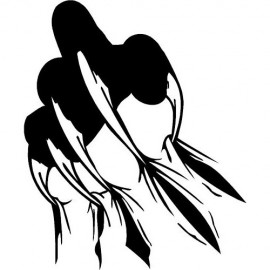 TRIBAL
