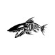 BONEFISH