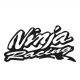 KAWASAKI NINJA/CARBON