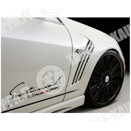 SPORTS MIND AUDI