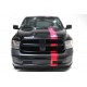 STRIPE TEIPPI