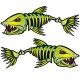 BONEFISH
