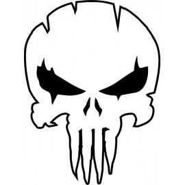 PUNISHER