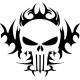 PUNISHER