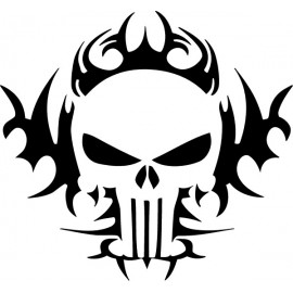 PUNISHER