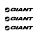 GIANT
