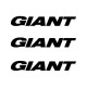 GIANT